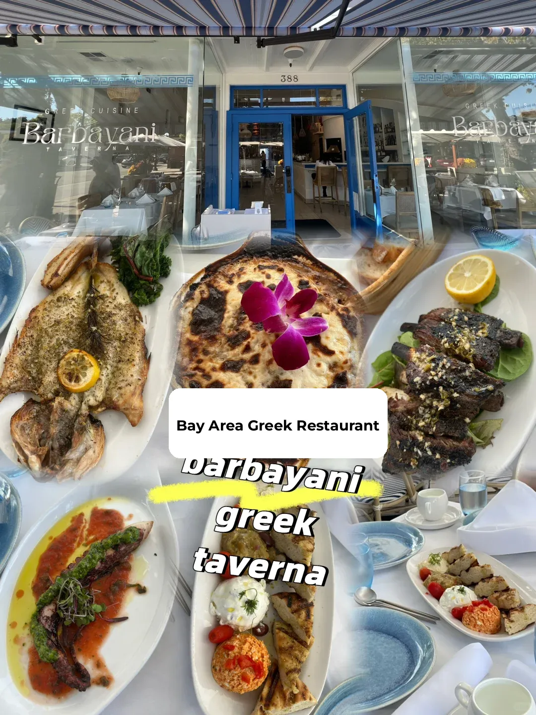 Bay Area Greek Eatery