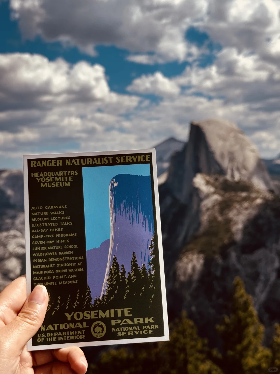 California | Ultimate One-Day Adventure in Yosemite National Park