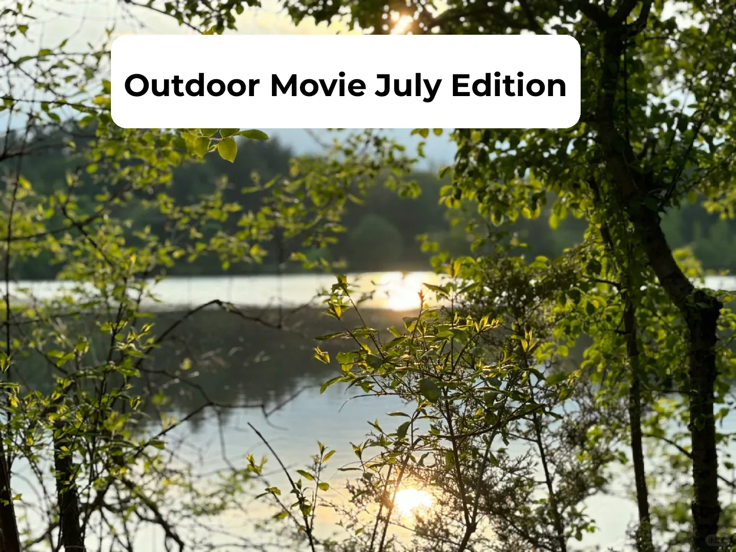 Where to Watch Outdoor Movies in Greater Detroit – July Edition