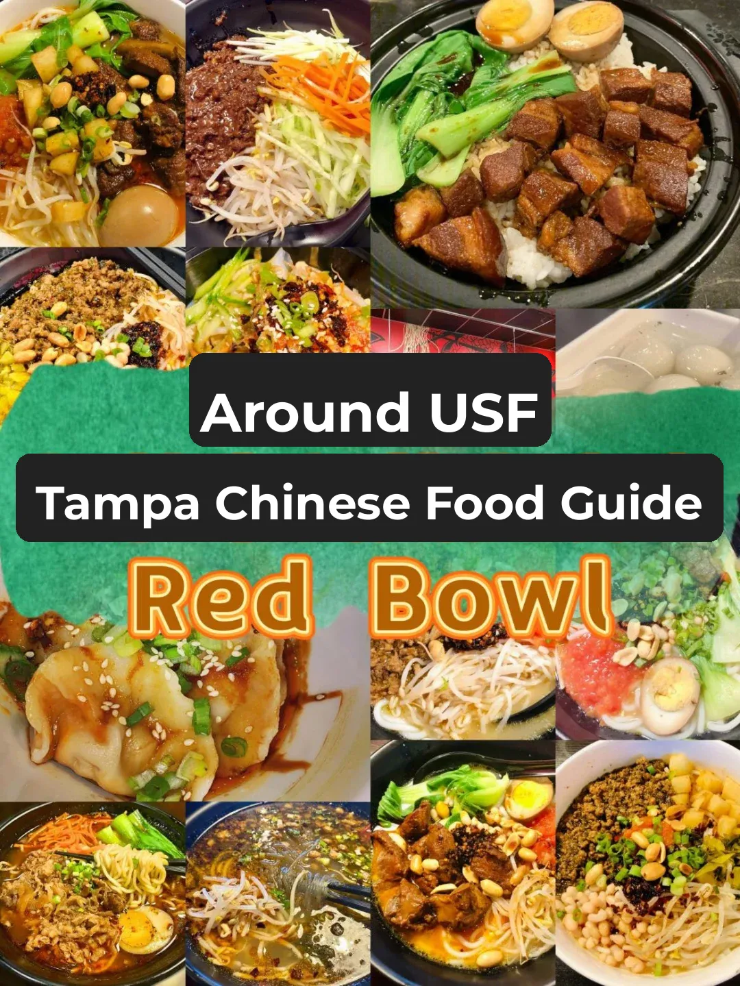 Around USF | Tampa Chinese Food Guide: Red Bowl