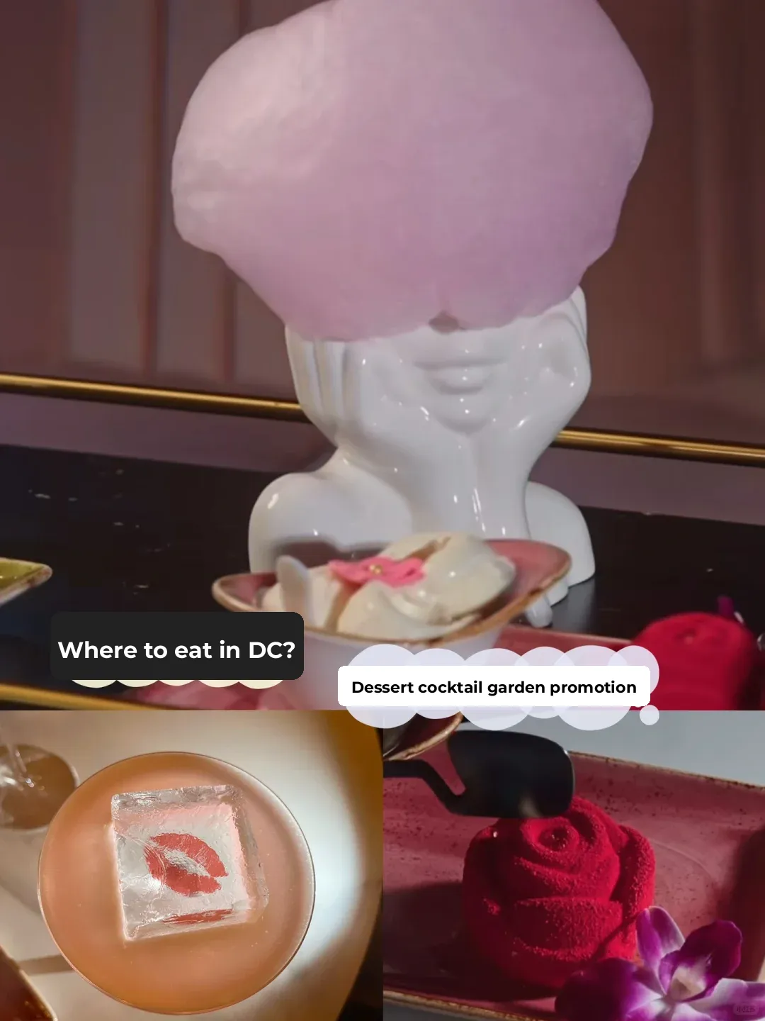 💕DC's Hidden Gem for Dates🆕 Aesthetic Dessert & Cocktail Garden🍧