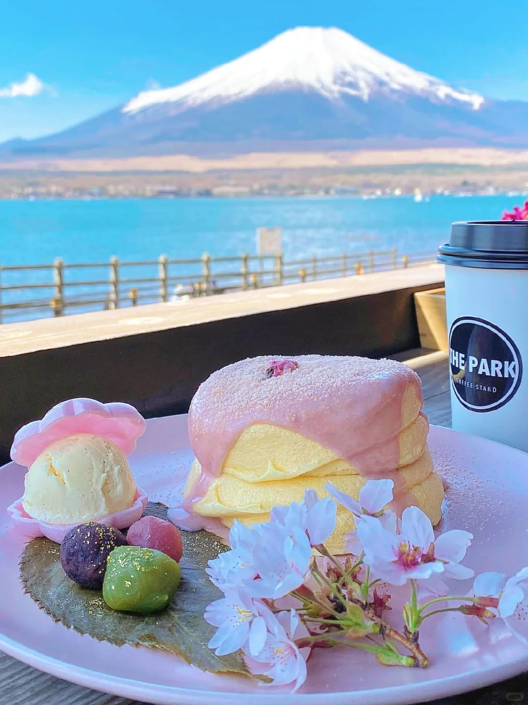 Finally Complete! 11 Must-Visit Fuji View Cafés & Restaurants in Japan