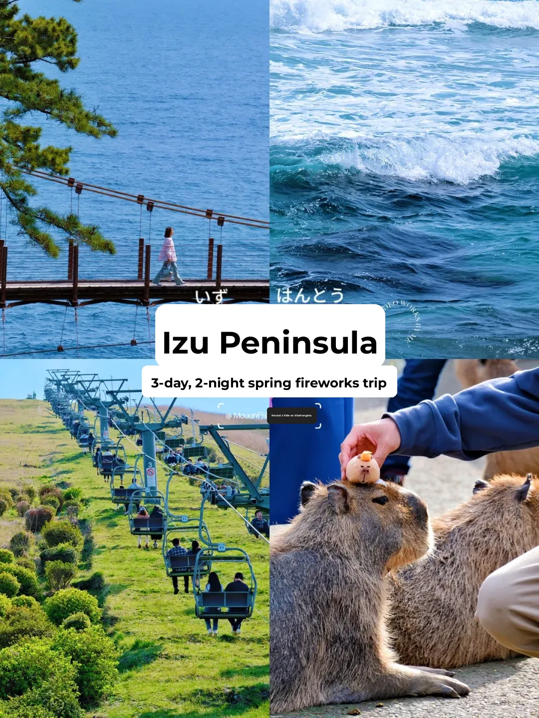 Just back! 🌊 3-Day Ultimate Guide to Izu & Atami: Tokyo's Top Coastal Getaway!