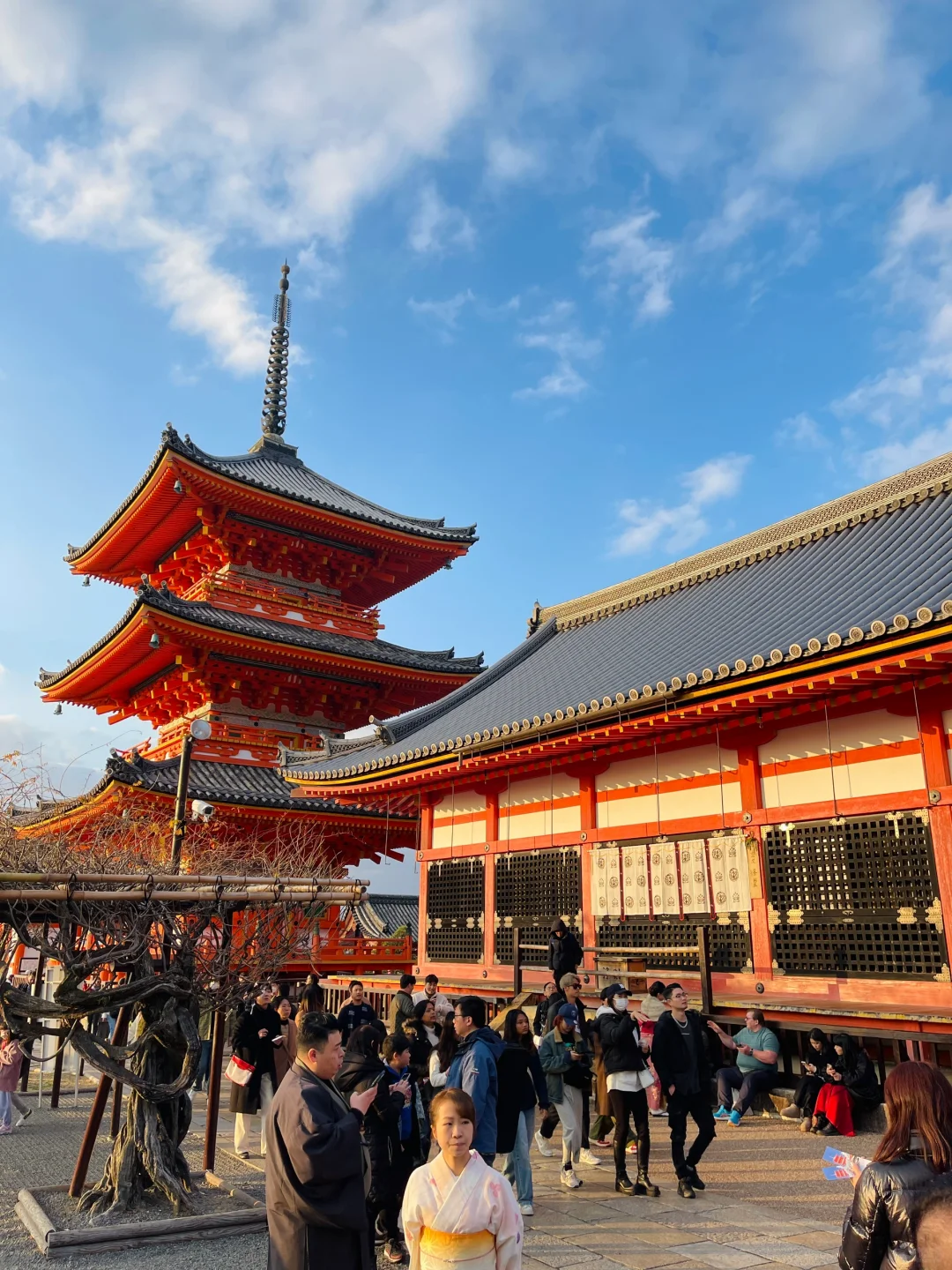 🇯🇵 Kyoto, a place you'll want to visit again and again