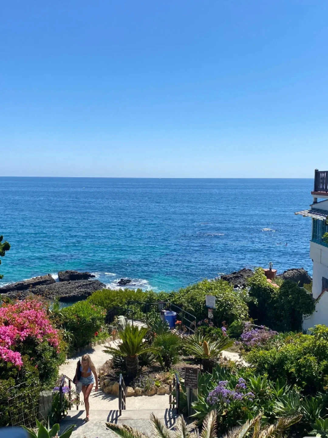 LA Area | My Most Successful Bandwagon Moment on Xiaohongshu ❤