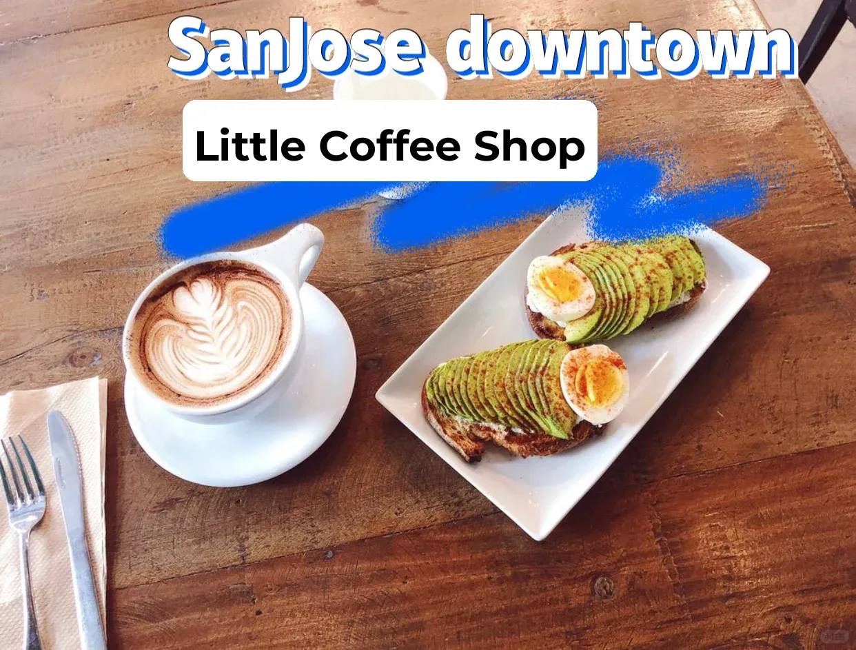 Hidden Gems in San Jose DT: Offbeat Cafés ☕️