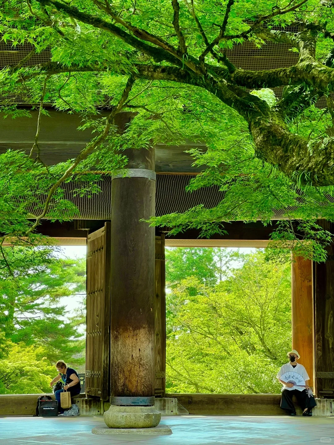 3-Day Kyoto Itinerary ❗❗ No Backtracking Allowed