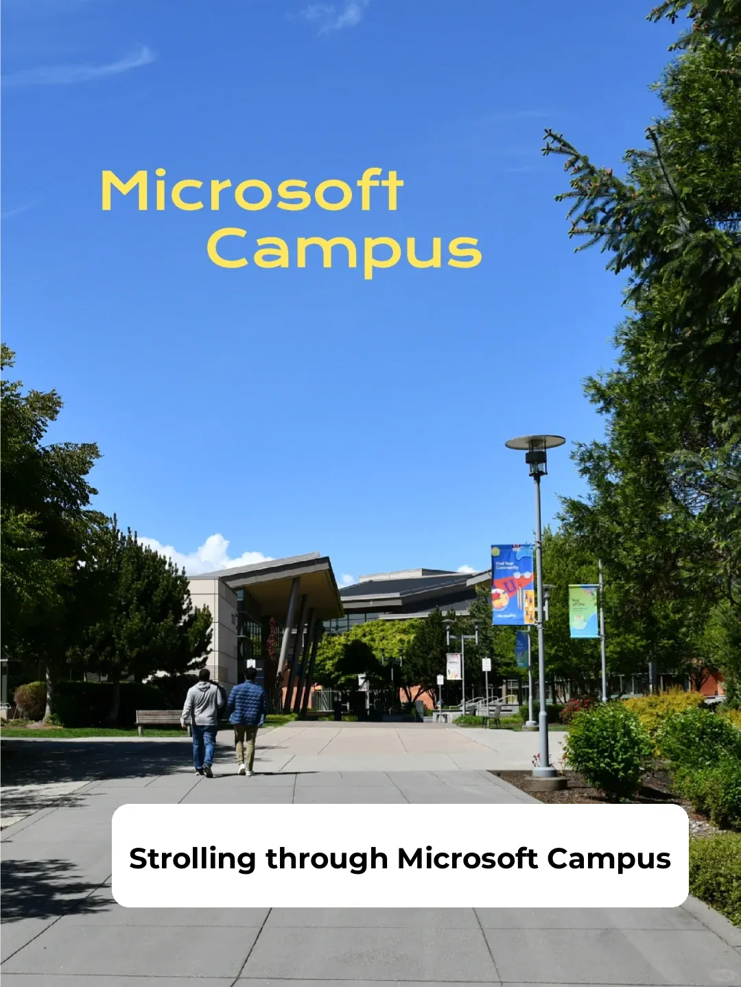 Seattle | Strolling Through Microsoft Campus and Meeting a Taiwanese Buddy