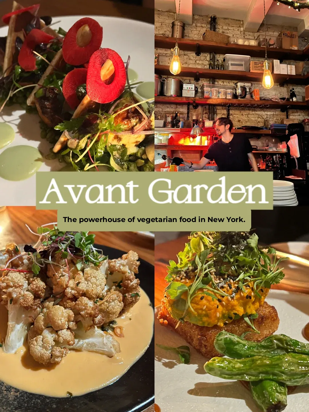 New York | Don't Underestimate the Power of Vegan Restaurants⁉️