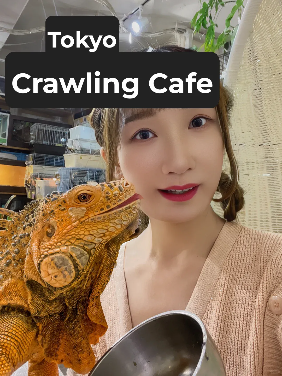Tokyo Reptile Café (Part 1)