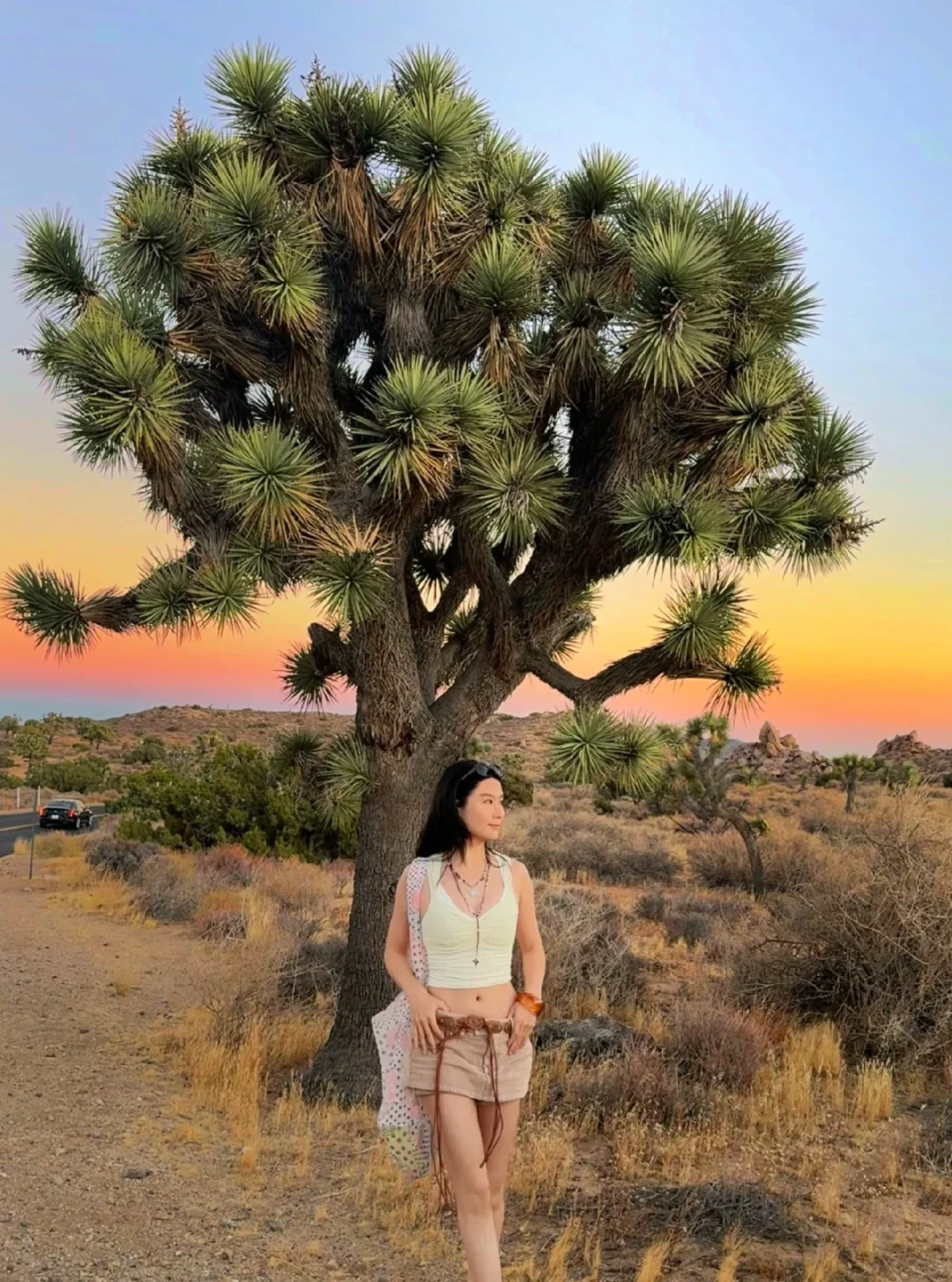 "Escape from LA: Soak in Hot Springs and Explore Joshua Tree in Palm Springs 🏜️"