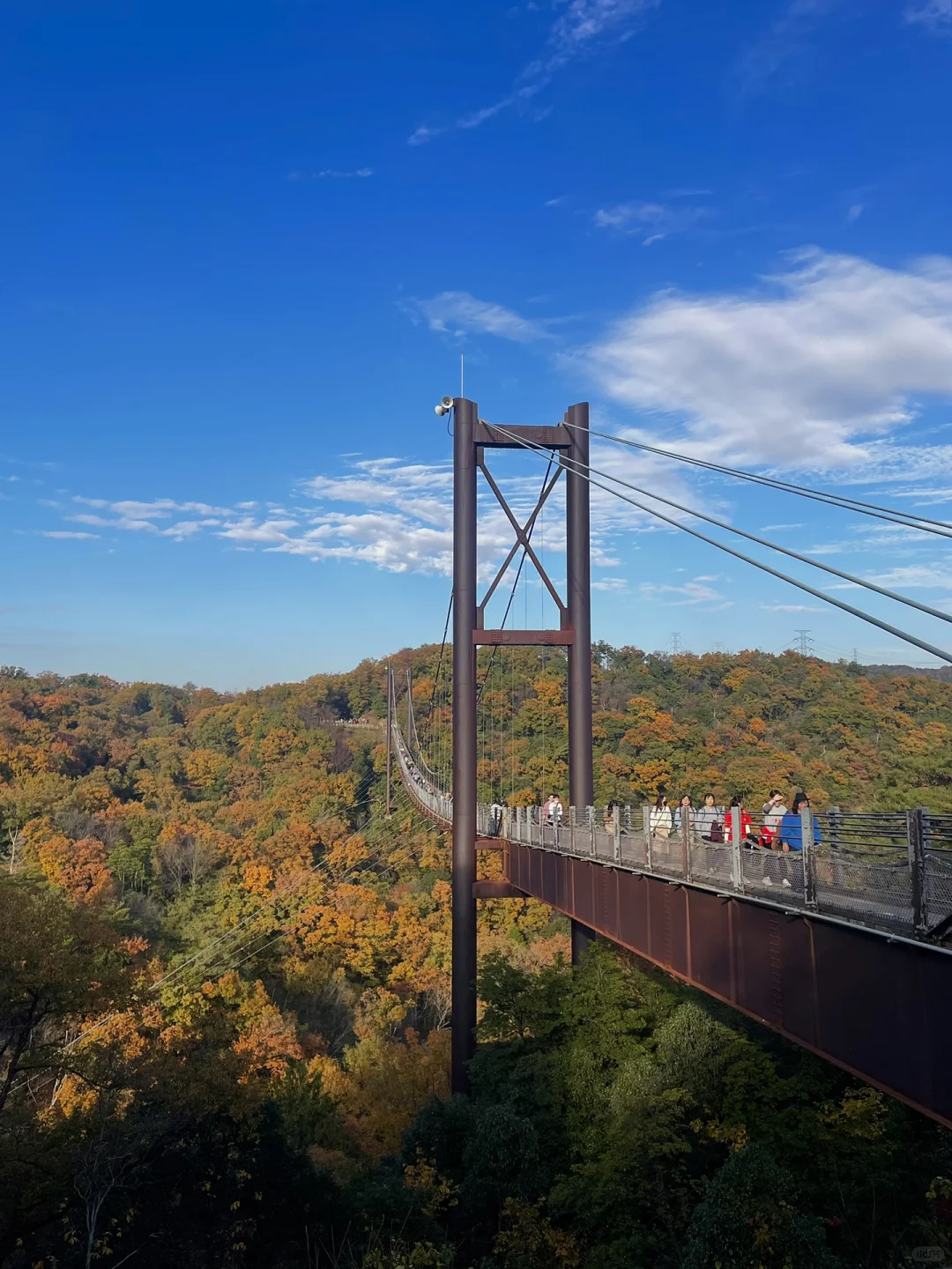 Osaka Area Travel | Wanna Go Hiking Together?