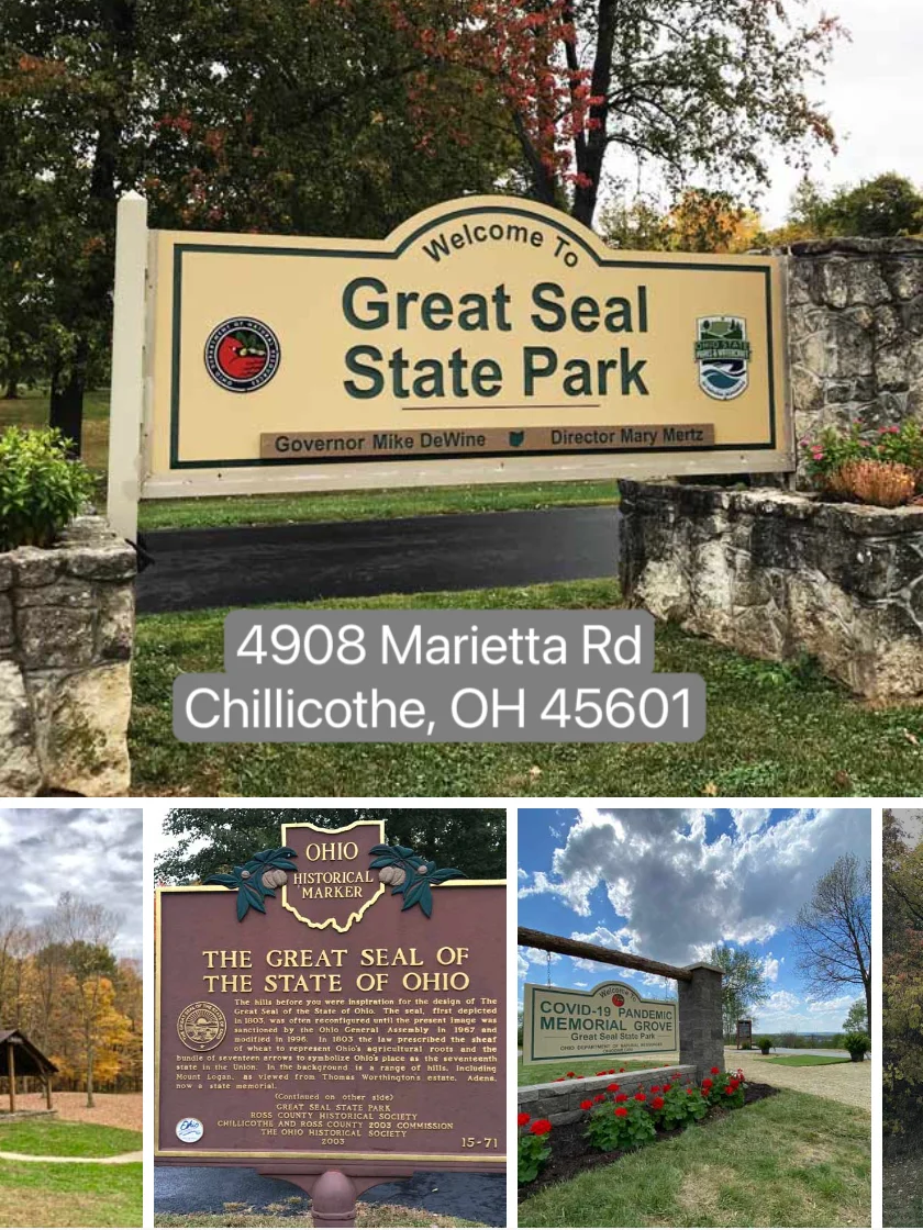 "Where to Go in Columbus: A Guide to Mushroom Foraging!"