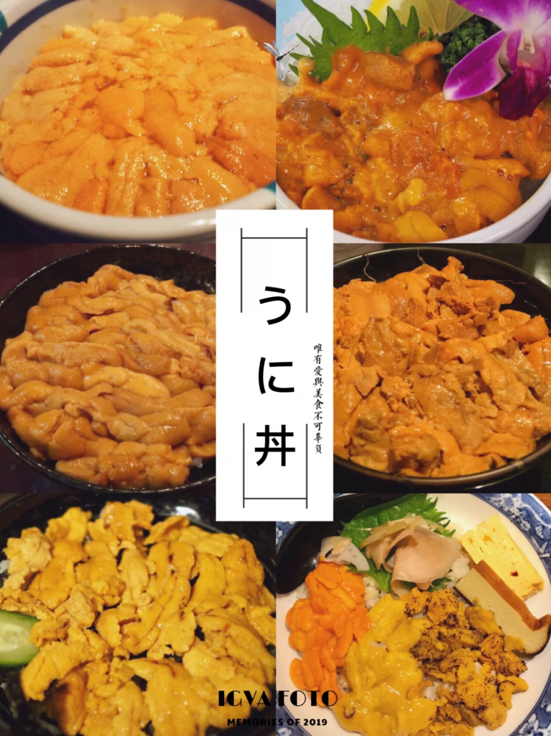 Sea Urchin Rice Season is Here and I'm Loving It! 🍣 5 Types of Uni Donburi Detailed