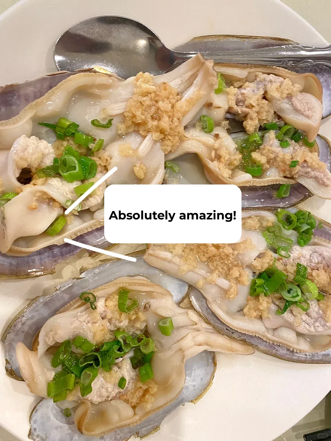 Absolutely Delicious! Cantonese Cuisine in Seattle - Taishan Delicacies