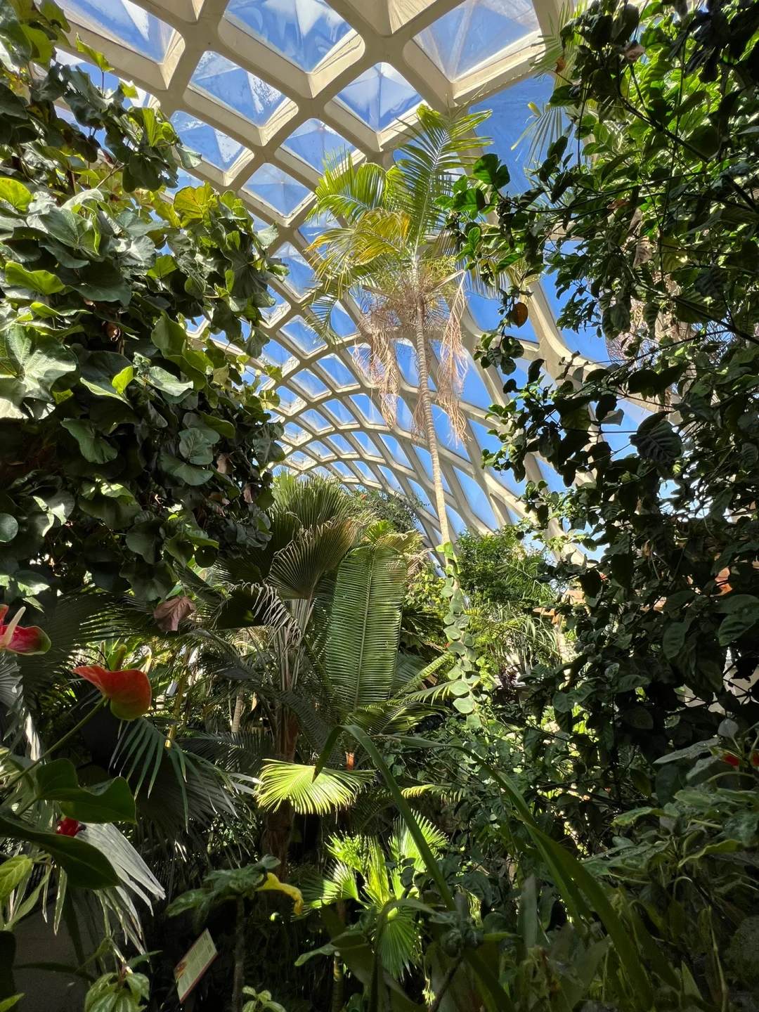 Road Trip Across North America – Denver Travel Guide: Where to Eat and What to Do