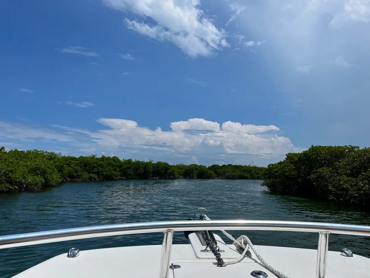 The Graduation Trip of the Three Amigos: Miami Mangrove Adventure