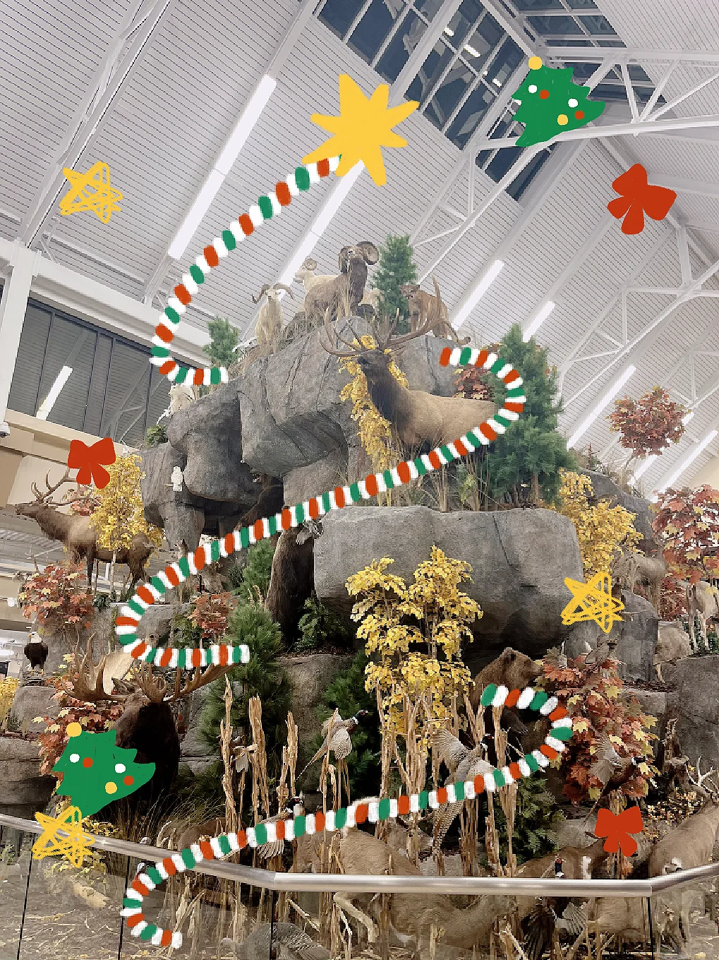 Great Spots for Taking Kids Out in Phoenix