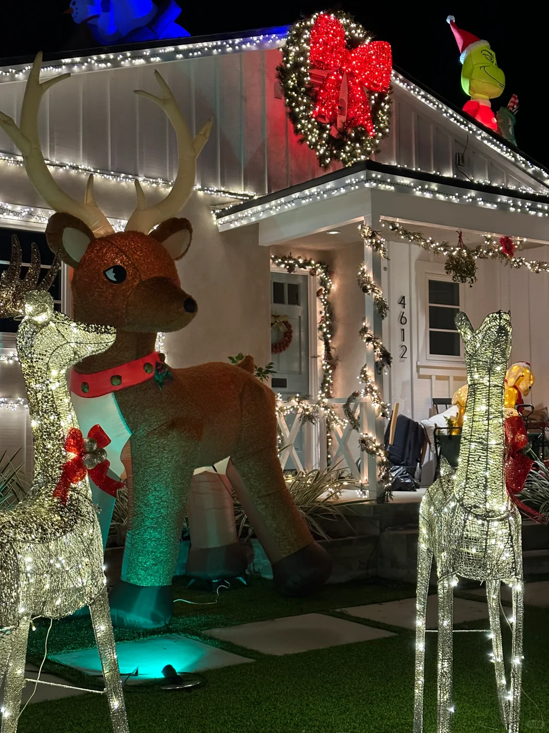 Who Else Doesn't Know About the Free Christmas Lights 🎄 at LA's Hustler Haven?