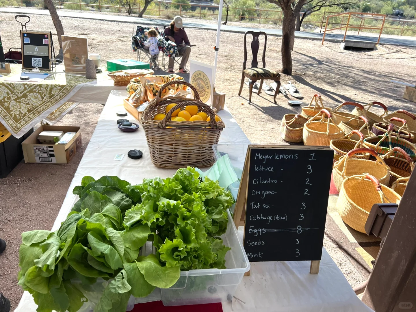 Tucson | The Must-Visit Farmers Market for Your Weekend🧑‍🌾