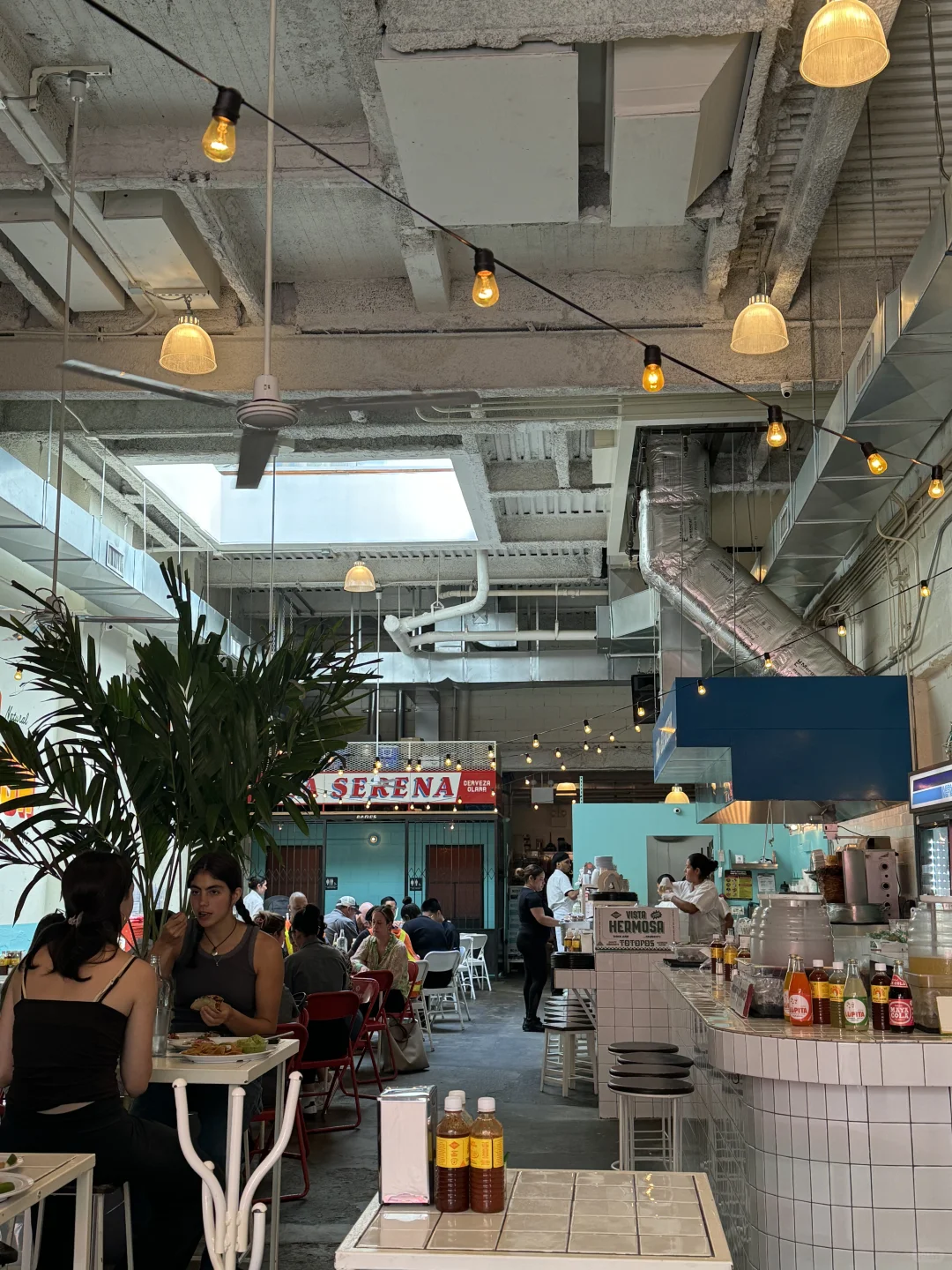 New York Foodie Guide: Gao Yuanyuan's Favorite Tacos Are Here 🇲🇽