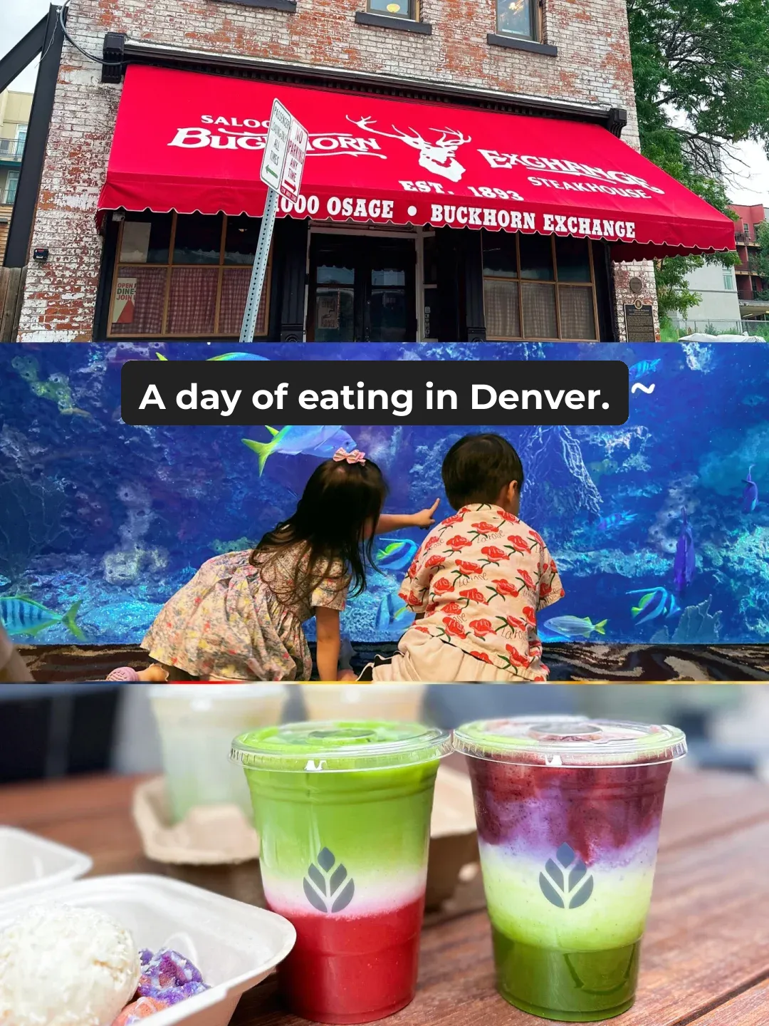 Denver Food Guide: Must-Try Eats for a One-Day Trip — Dishes Worth Coming Back For!