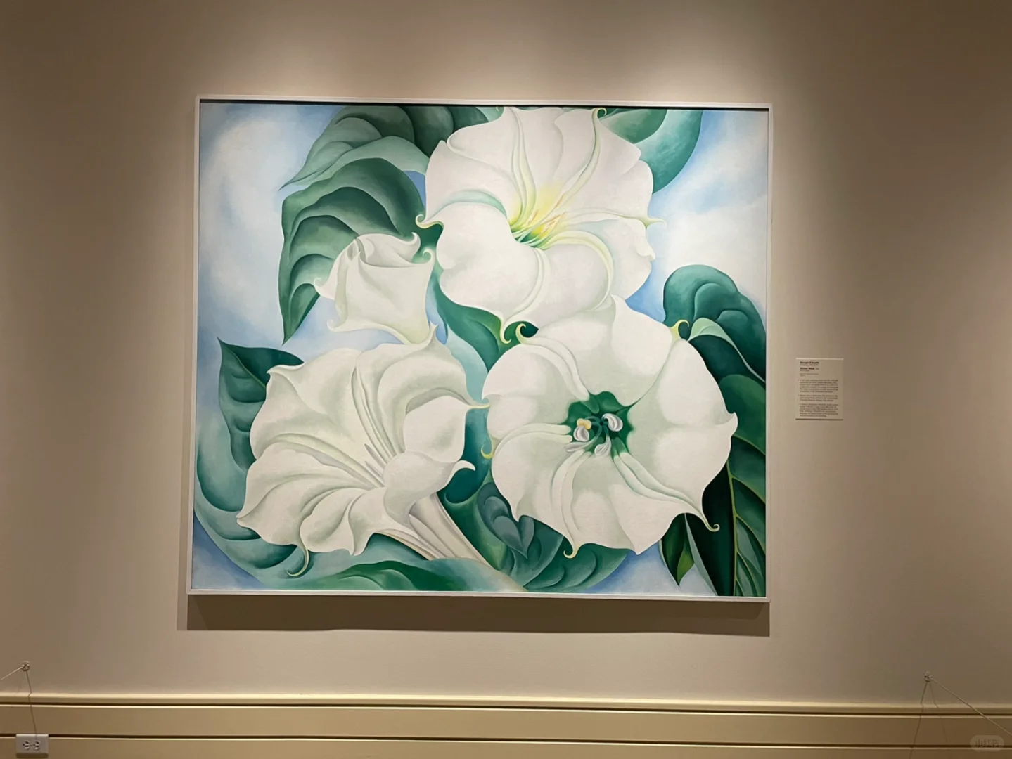 Indianapolis Museum of Art