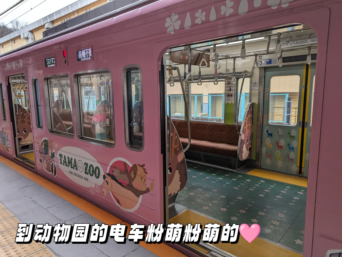 Encountering a Lion on the Road? Bringing the Kids to Explore Tokyo's Best Tama Zoo