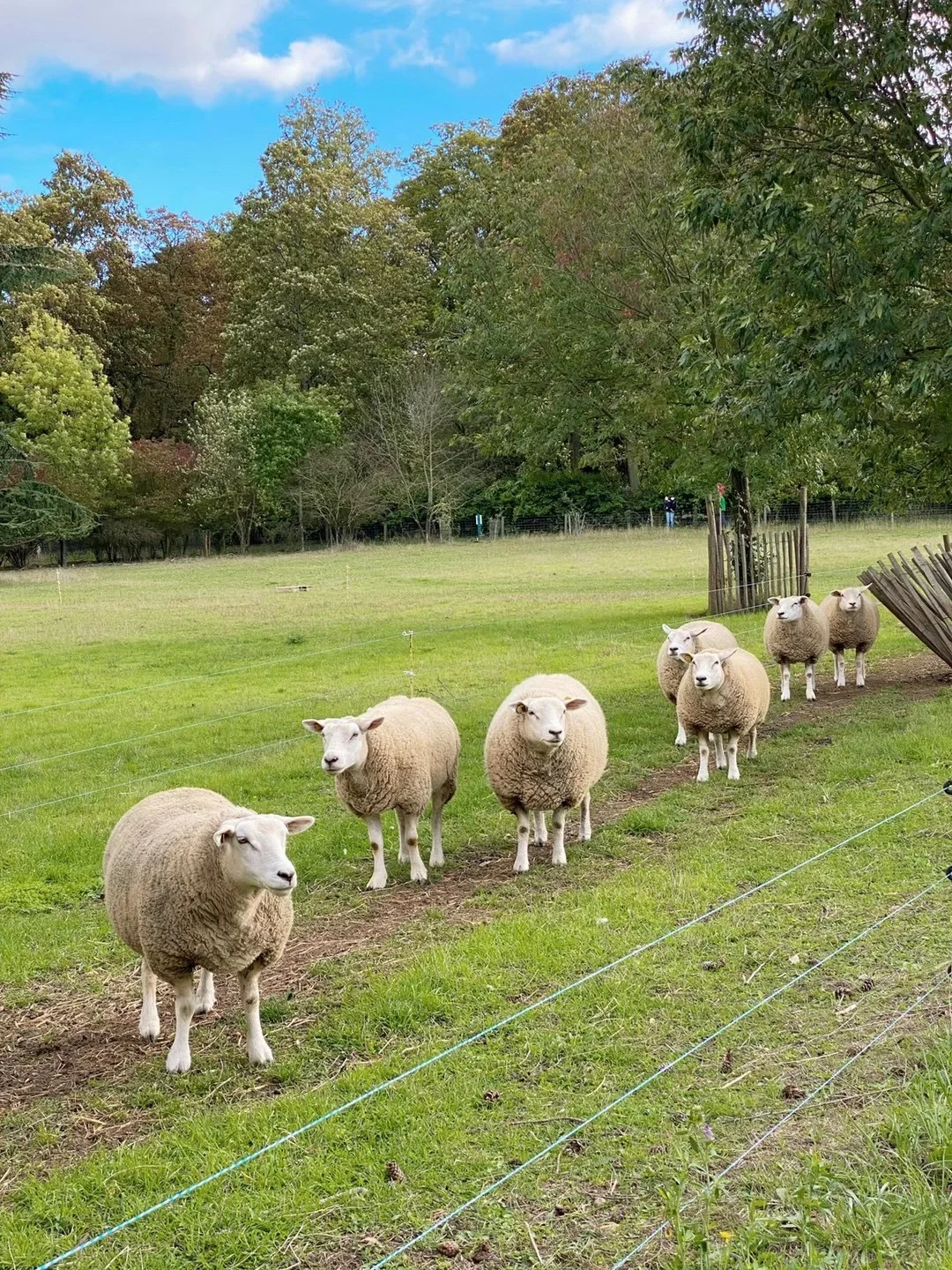 Paris | Has Anyone Not Visited This Little Paris Farm Yet?