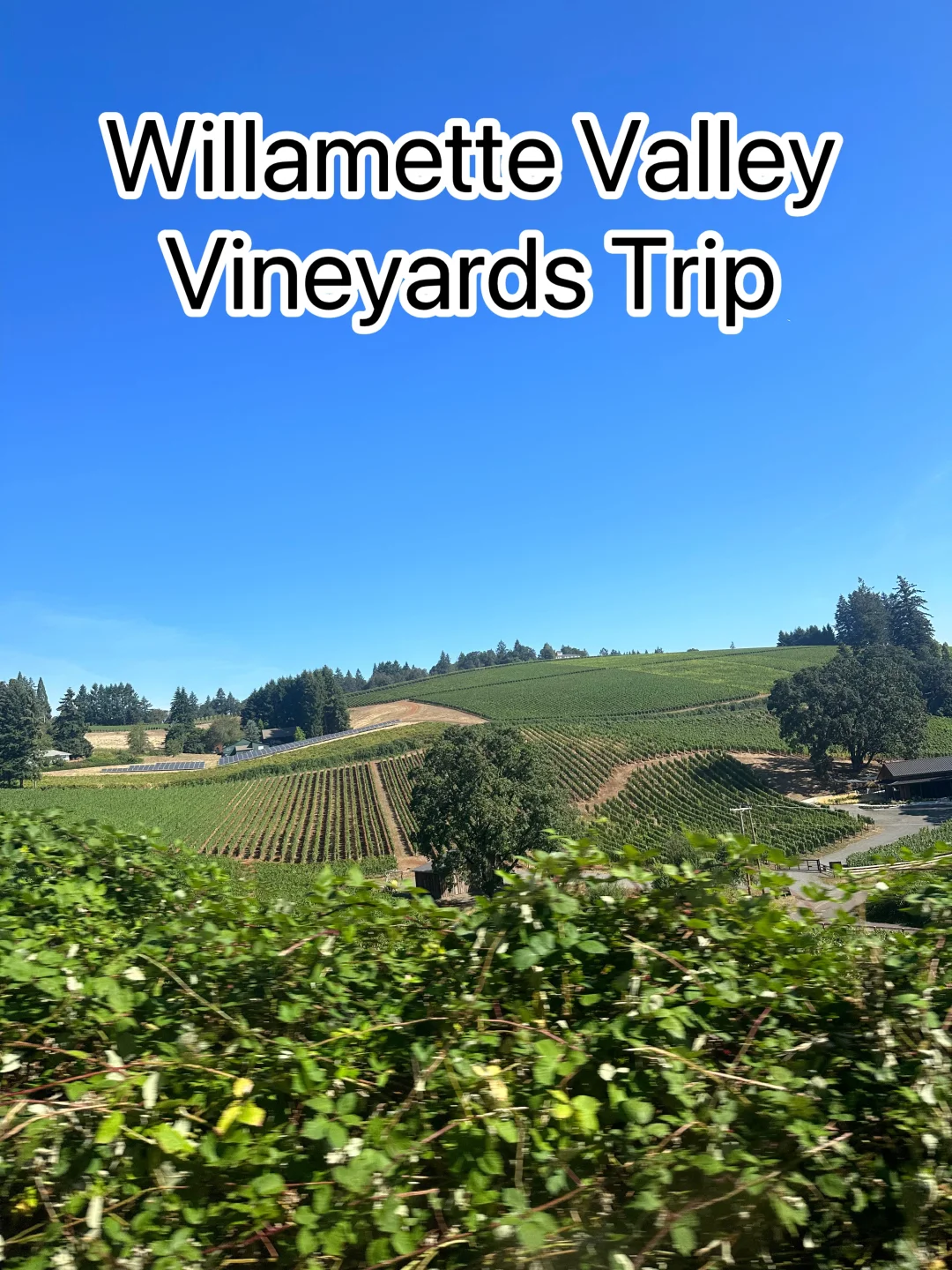Willamette Valley Oregon Winery Tour 1.0