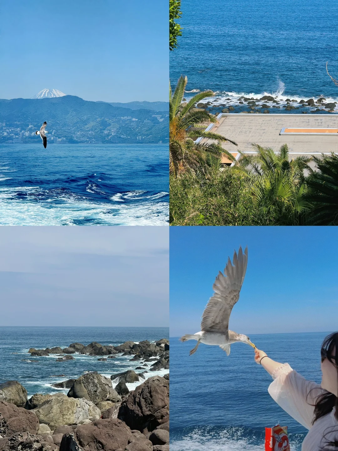 🇯🇵 Tokyo's Best Kept Secret: The Affordable Day Trip Island – Hatsushima 🏝️