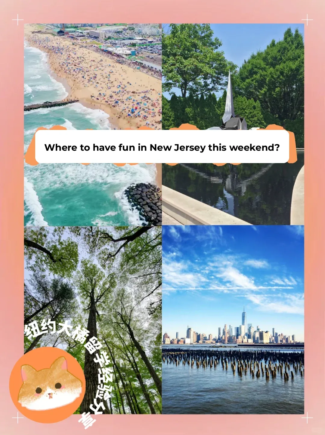 Top Picks for a Trip to New Jersey!