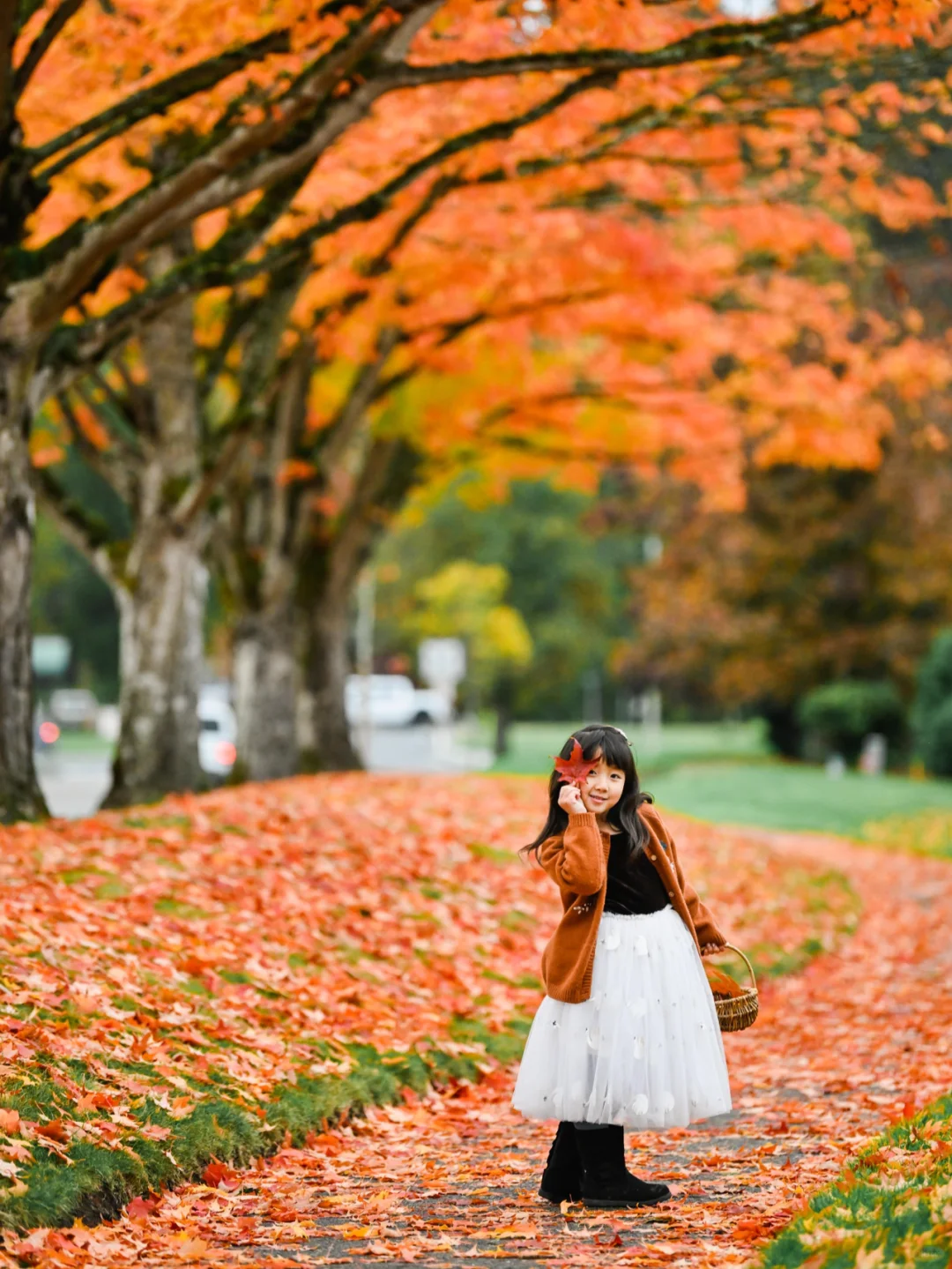 Bothell's Red Leaf Avenue 🍁 This Year, You Can Skip It