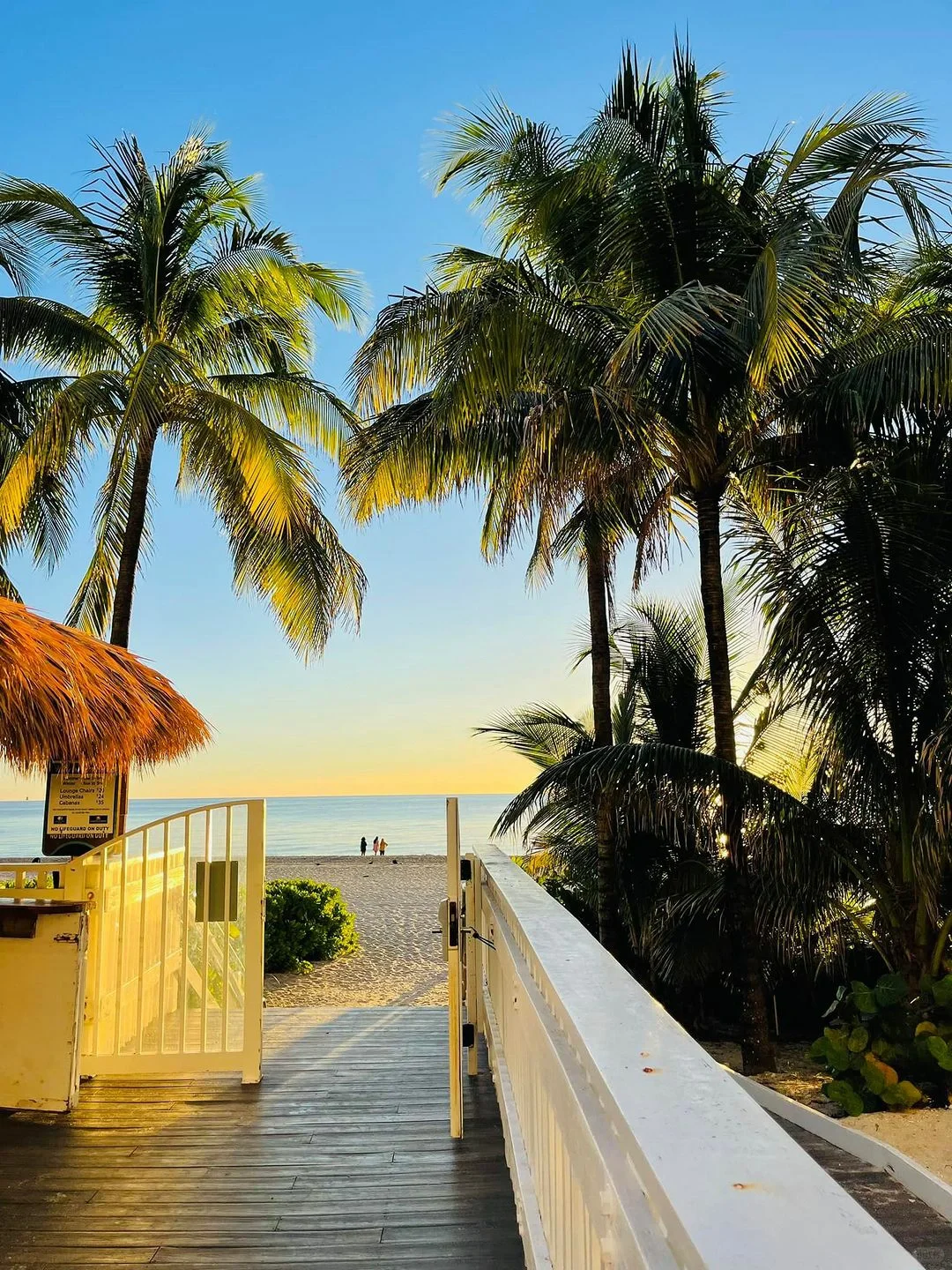 Can't Check Out! This Miami Hotel is Absolutely Stunning 🌟