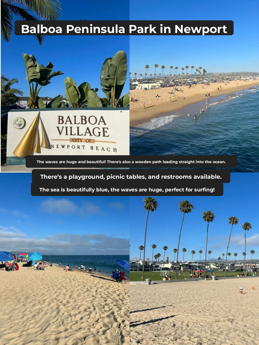 🇺🇸 Irvine Family Fun: Best Spots for Shelling Adventures!