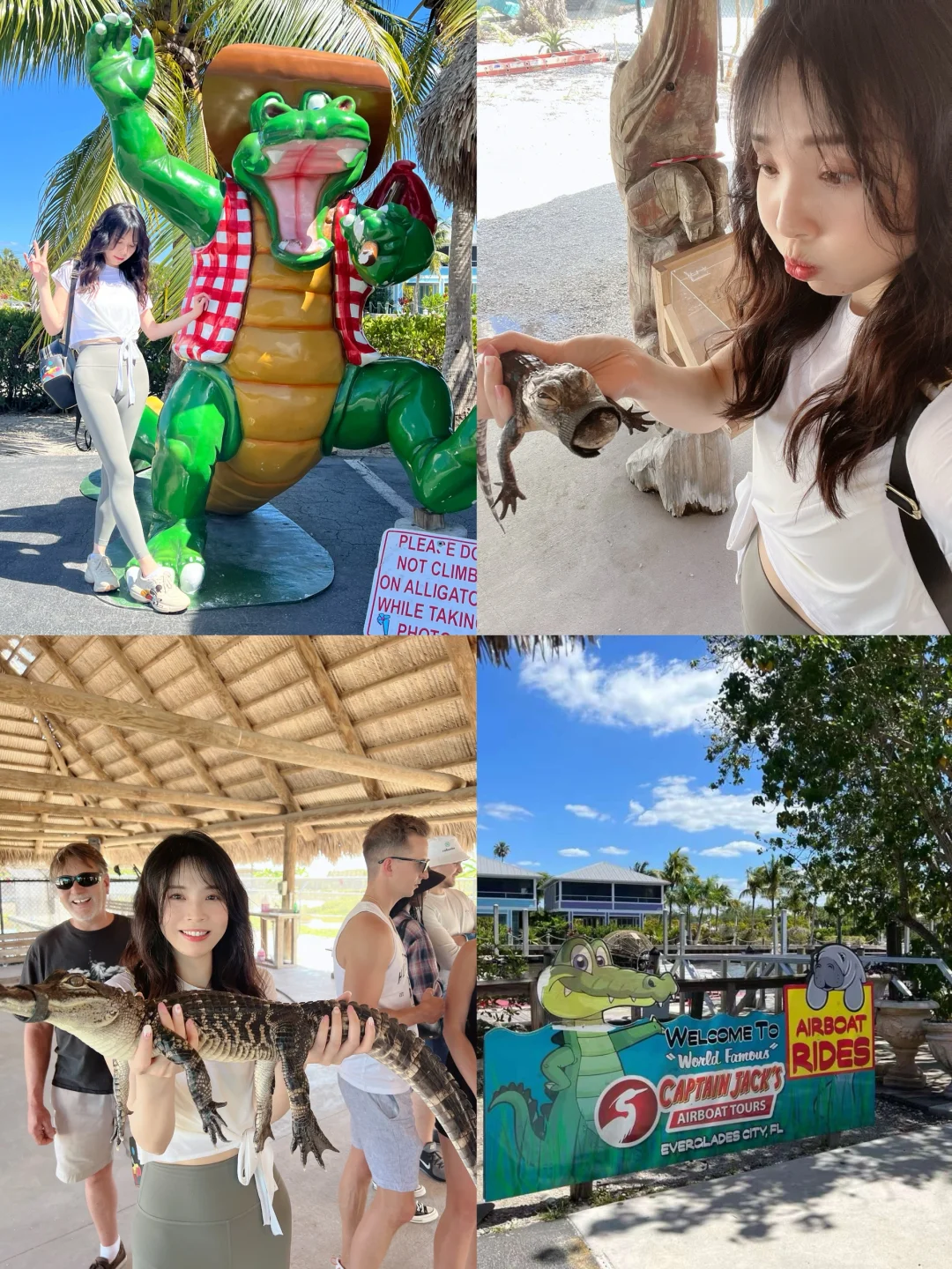 Miami's Top Picks 🐊