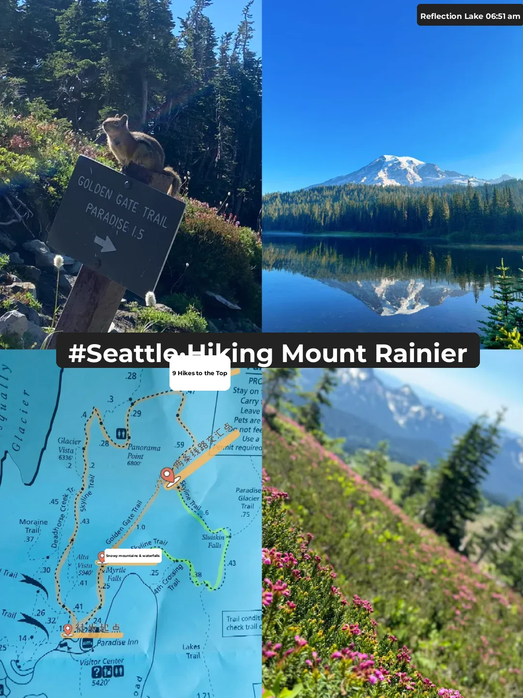 Hiking Trails at Mount Rainier, Seattle