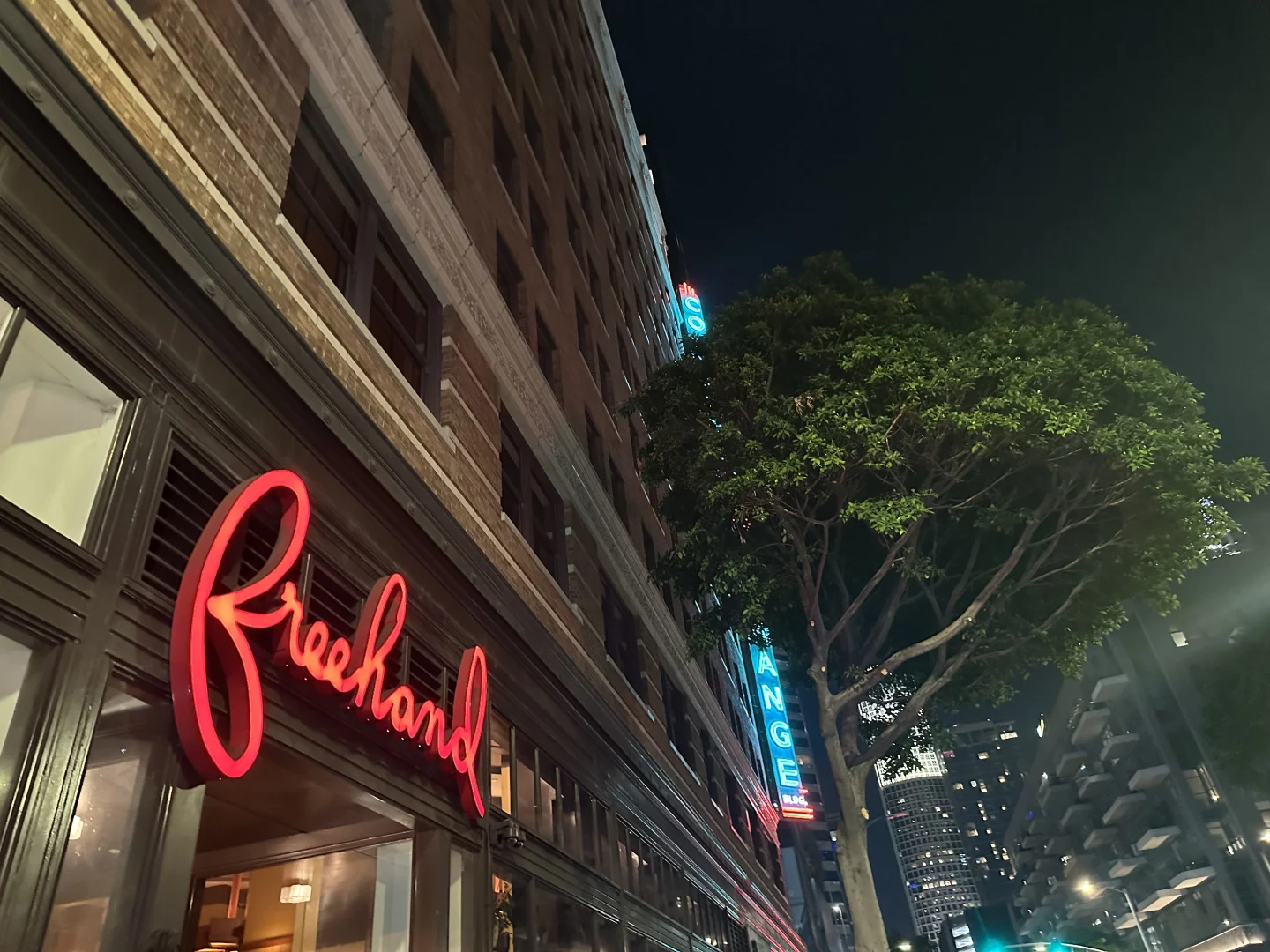 A Night Out in Downtown LA