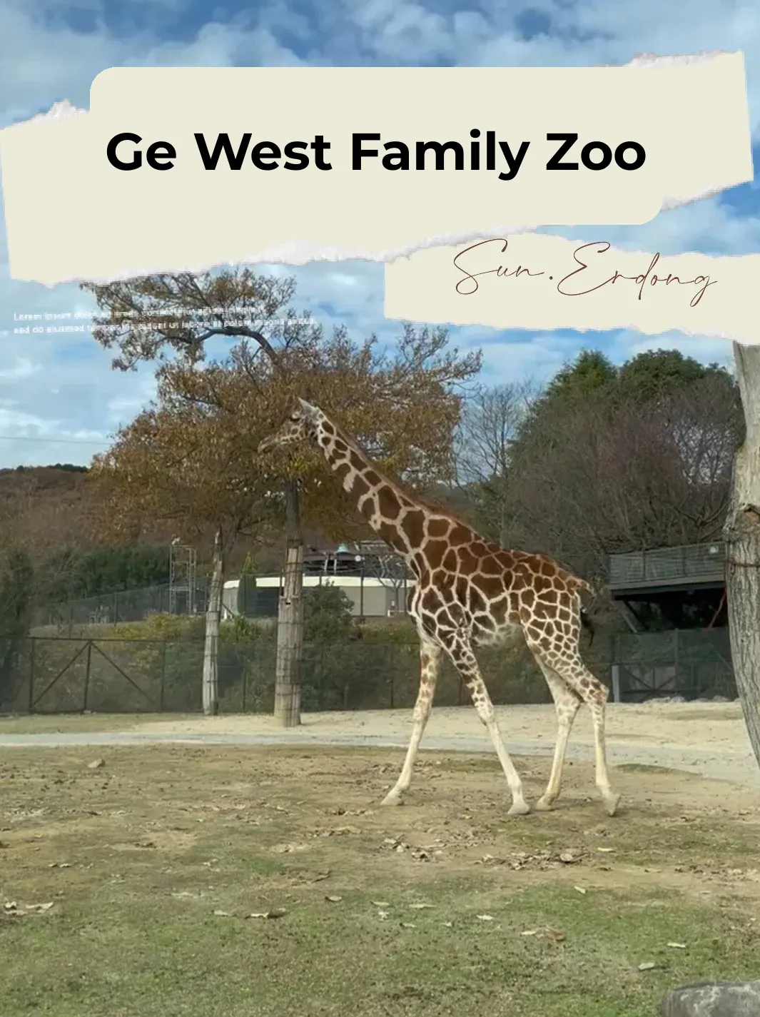 Osaka Kyoto Trip - Close Encounters with Lions at the Safari Park