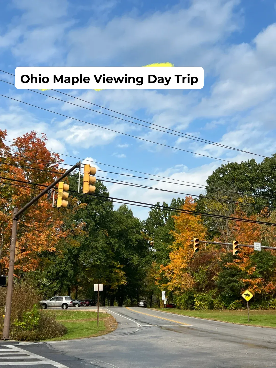 🍂 Fall One-Day Road Trip | Ohio Maple Leaf Viewing Guide