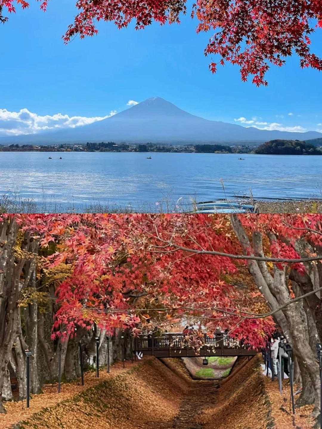 Kanto, Japan ❗️ Ultimate Fall Foliage Map & Guide 🍁 Everything You Need to Know in One Post