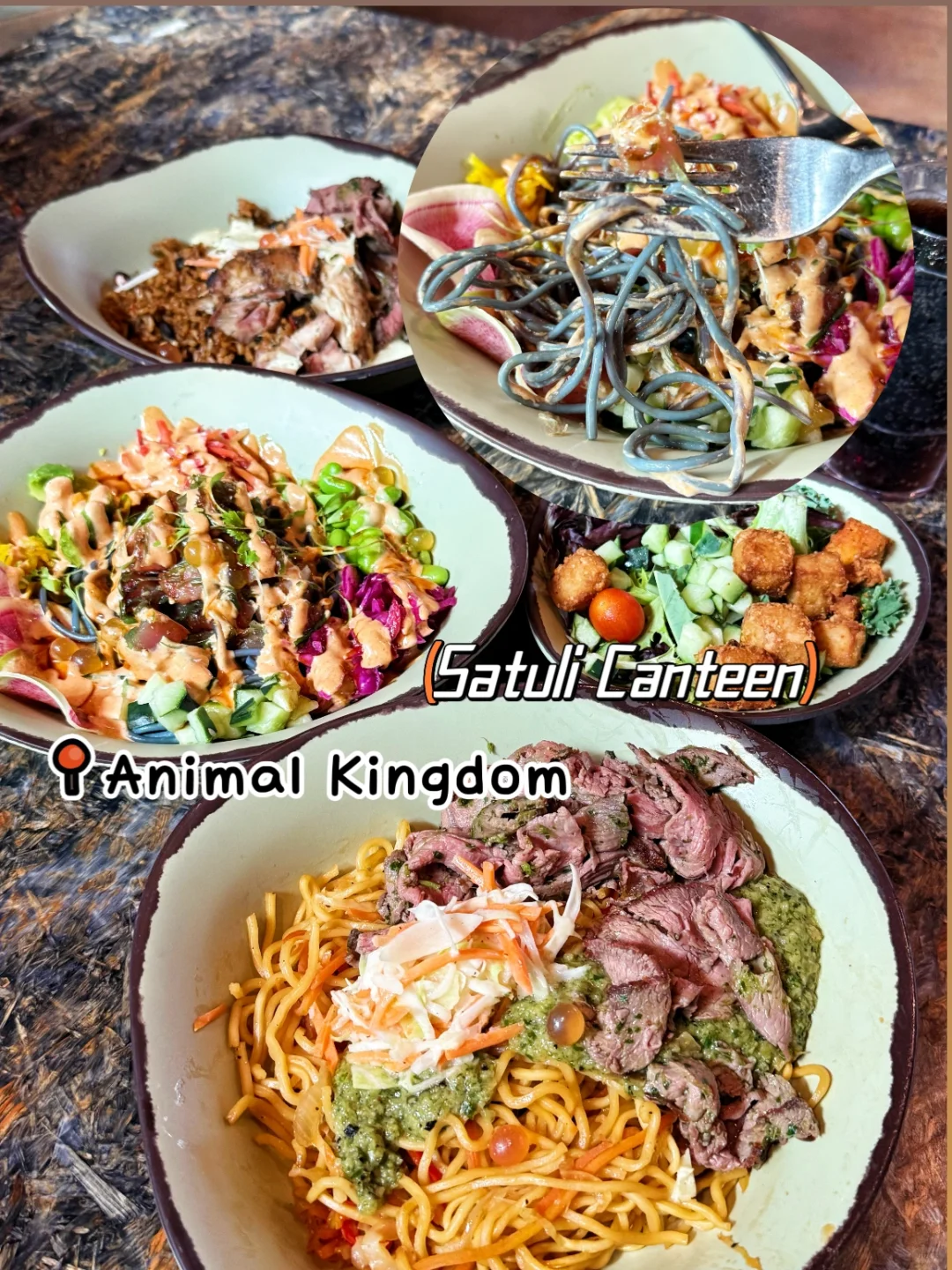 Orlando Disney Restaurants 🍴 Truly Affordable and Delicious 😋