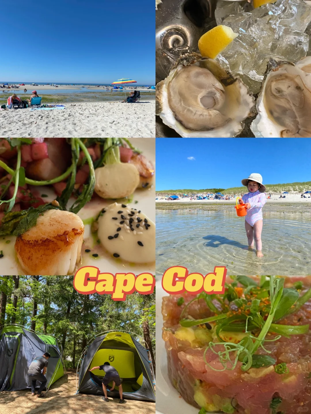 Boston | Two Days & One Night in Cape Cod (Hidden Gems & Must-Try Eats) Part 1