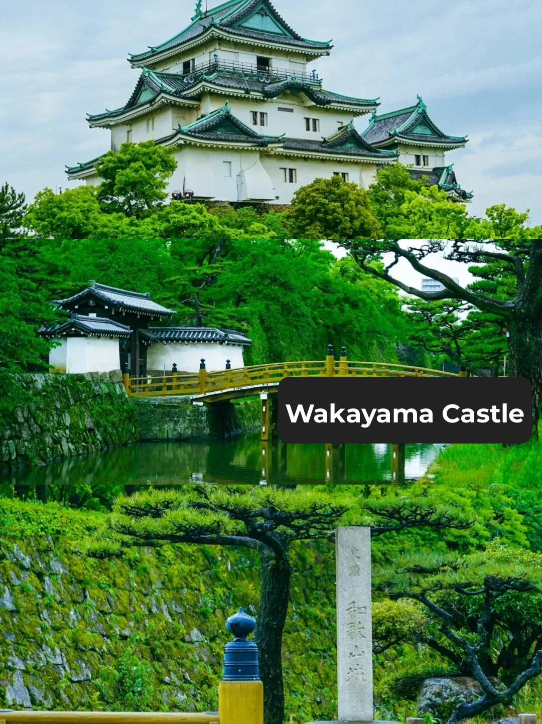 A Day of Hidden Gems & City Exploration near Osaka: Wakayama Edition