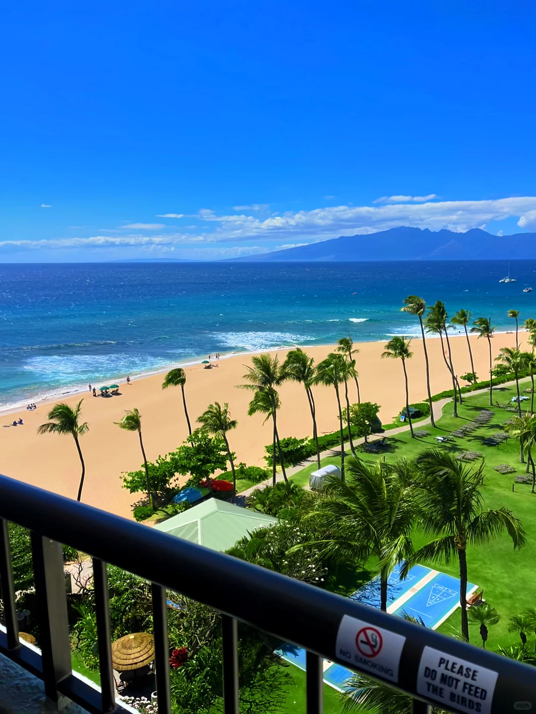 Hawaii Stay of a Lifetime!! Who Understands This Ocean View 😭😭 Maui
