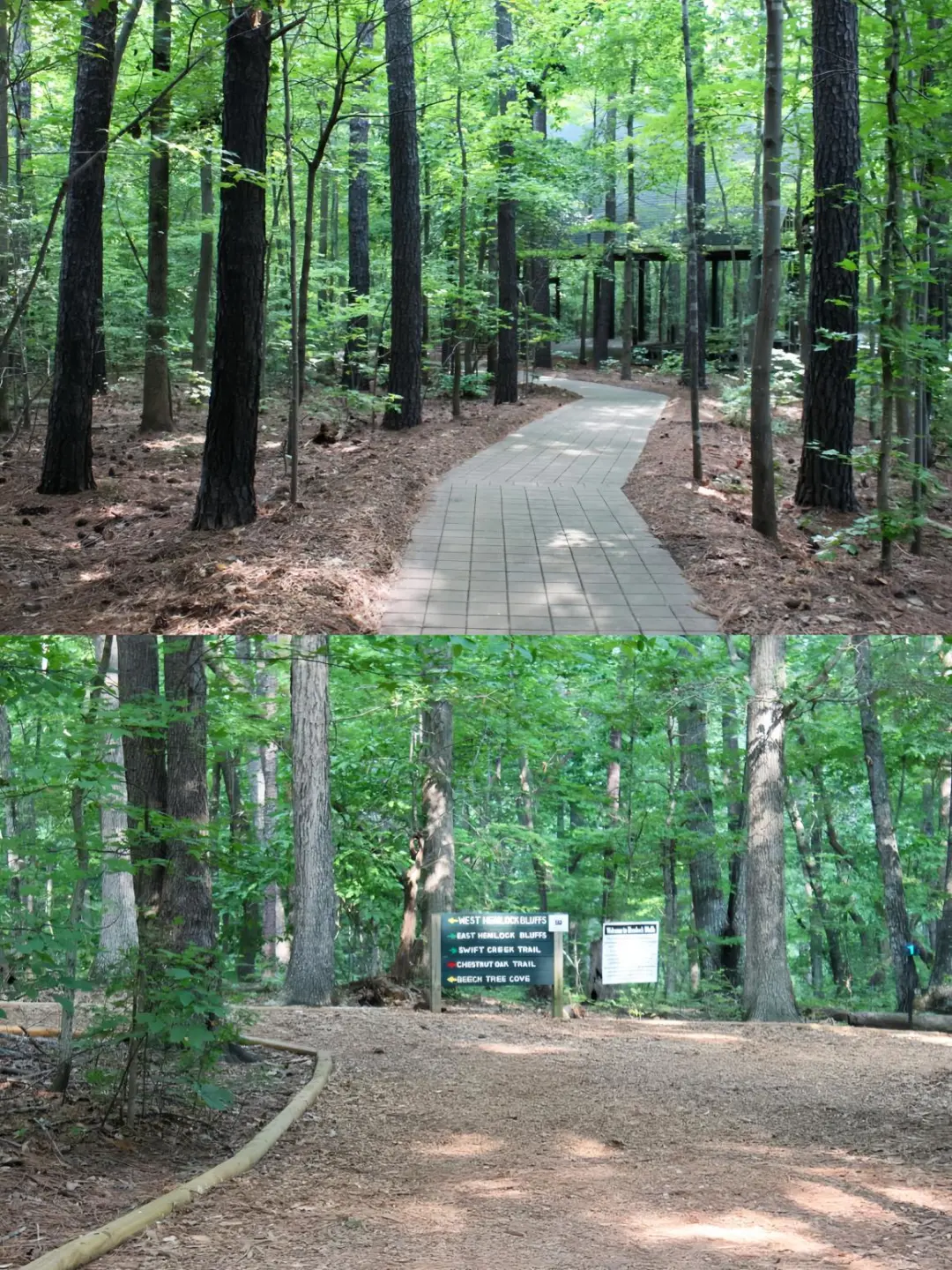 North Carolina Trail🚲 Grab Your Workout Buddy and Hit the Trail!