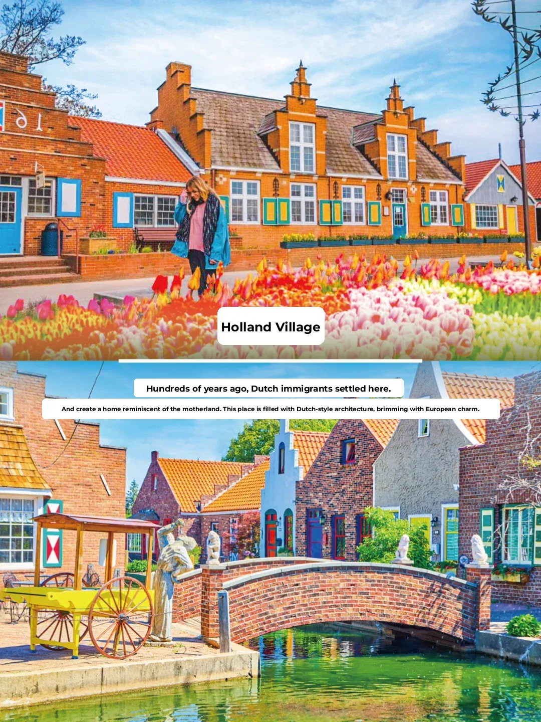 🌷 A Hidden Blooming Town Near Chicago