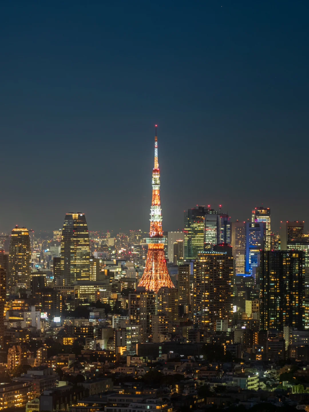 A Comparative Guide to Tokyo's Top 3 Free Observation Decks: Which One Reigns Supreme?
