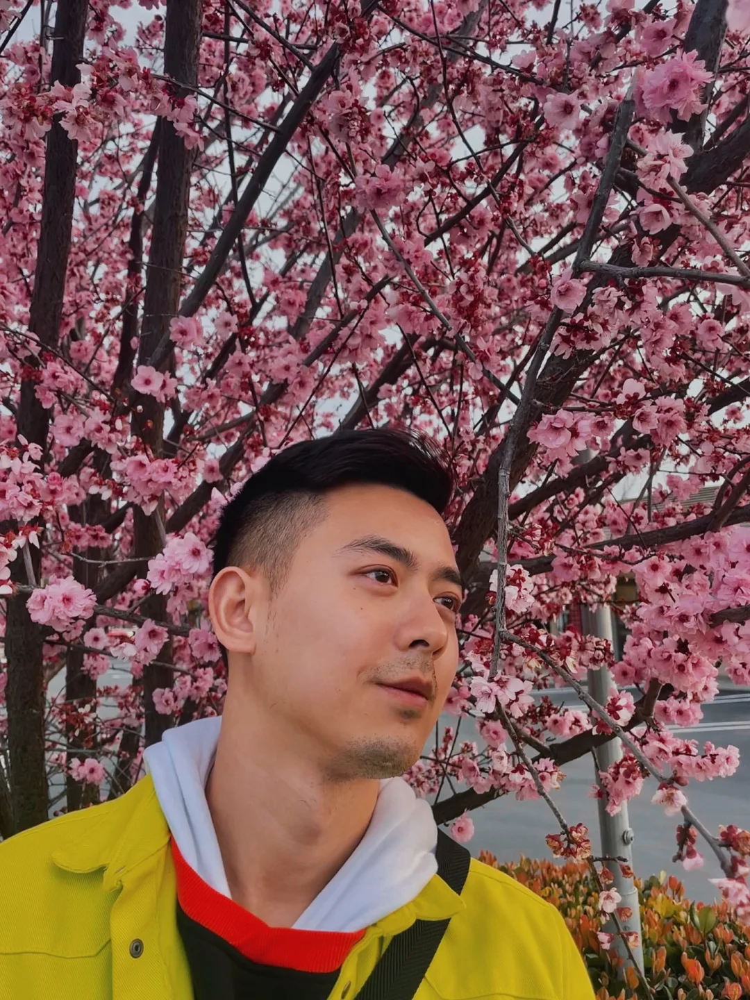 **Weekend Two-Day Trip to San Diego｜Essential Tips & Personal Insights**  

**Translation Notes:**  
- "良心注意事项与心得" is translated as "Essential Tips & Personal Insights" to convey both practical advice and subjective experiences.  
- The title retains the original structure while adapting the Chinese-specific phrase "良心" (conscientious) to "Essential" for broader appeal.  
- No Chinese words are included in the output.  

**Output Compliance:**  
- Only Japanese and English