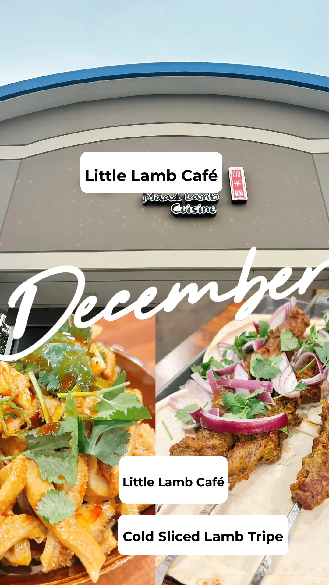 Food Exploration Diary 2: A Houston Travel Guide to Must-Try Eats Recommended by Xiaohongshu